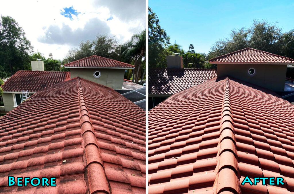 Roof Cleaning Service Kingwood Tx