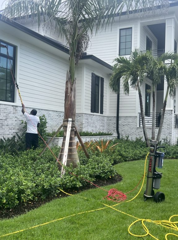 window cleaning